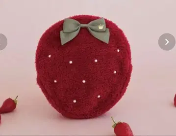 Maison de FLEUR 파우치 딸기신문