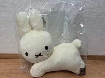 다이토 복권 미피 라스트상