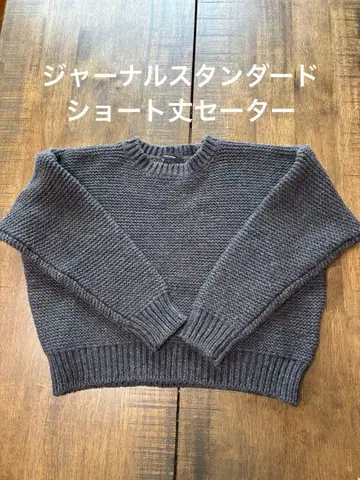 JOURNAL STANDARD 숏 기장 그레이 크루넥 스웨터