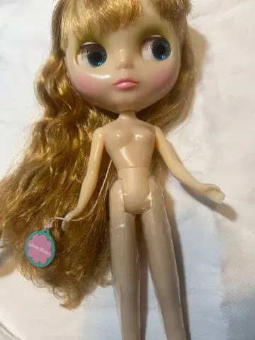 네오 브라이스 인형 본체 골드 컬러의 머리카락 제니 문