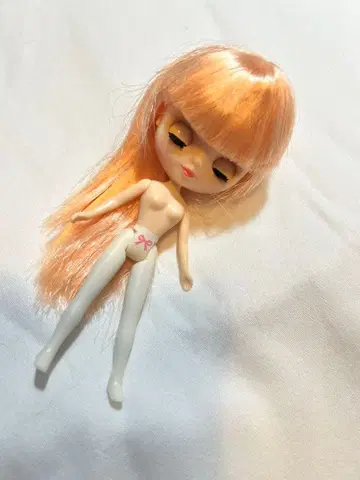 미니 브라이스 인형 본체