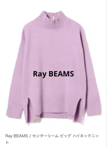 Ray BEAMS 센터 심 빅 하이넥 니트