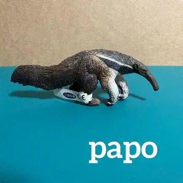 파포 오오아리쿠이