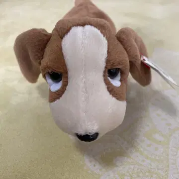 TY 강아지 봉제 인형 비니 베이비