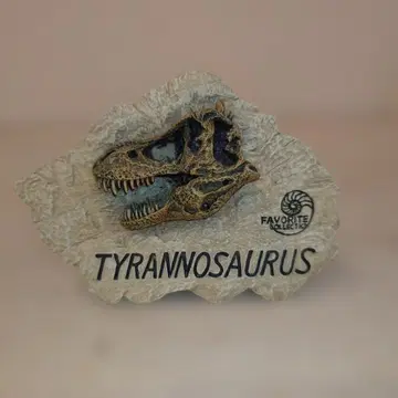 페이보릿 컬렉션 티라노사우루스 두골 화석 모델 새상품급