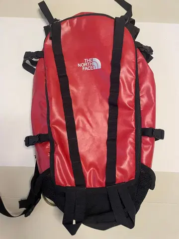 THE NORTH FACE 레드 백팩
