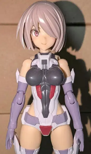 프레임 암즈 걸 콘고