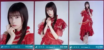 노기자카46 야타 모에카 브로마이드 컴프 13thBD 라이브 의상2