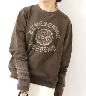 JOURNAL STANDARD 브라운 맨투맨