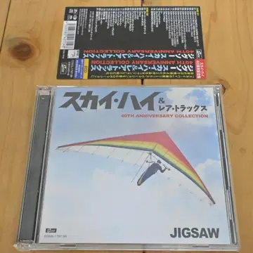 스카이 하이&레어 트랙스 40TH ANNIVERSARY 컬렉션