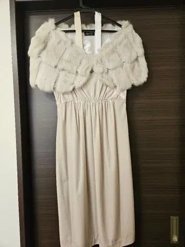 INDIVI 퍼 장식 베이지 드레스 사이즈 36 4