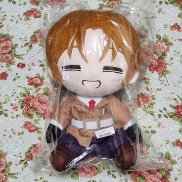 [ 이탈리아 /웃음 ] 헤타리아 월드 스타즈 BIG 봉제 인형