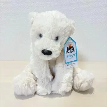 제리캣 북극곰s