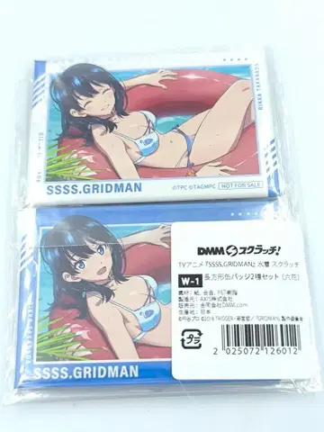 그리드맨 유니버스 타카라다 리카 캔뱃지 2개 세트 DMM 복권 W 찬스상