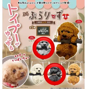 블라리즈 블랙 그레이 세트