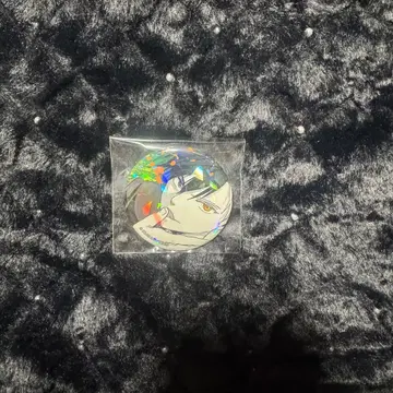 WIND BREAKER 사쿠라 하루카 원작 그림 홀로그램 캔뱃지