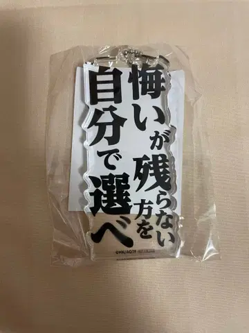 진격의 거인 리바이 아크릴 블록 키링