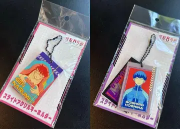 괴수 8호전 슬라이드 아크릴 키링 호시나 소우시로 나루미 겐