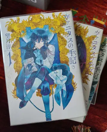 바니타스의 수기 1권부터 11권