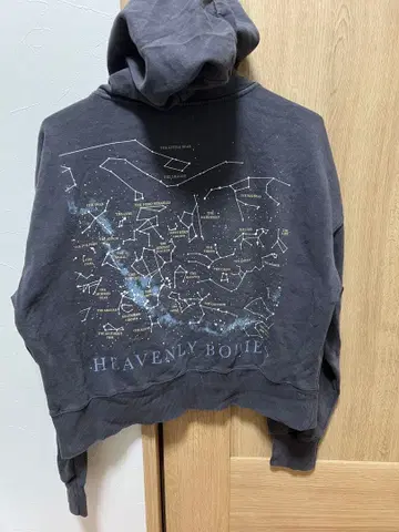 Heavenly Bodies 지퍼 후드티