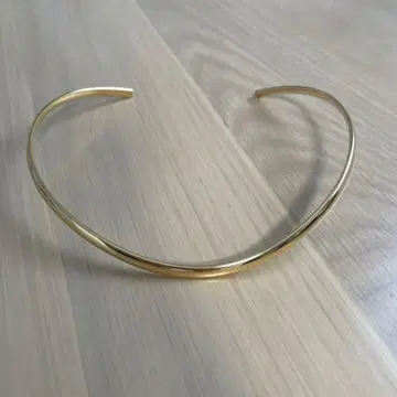 개럴개런트 넥카프 골드 (2025/5 구매)