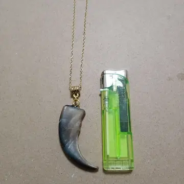 곰 발톱 목걸이