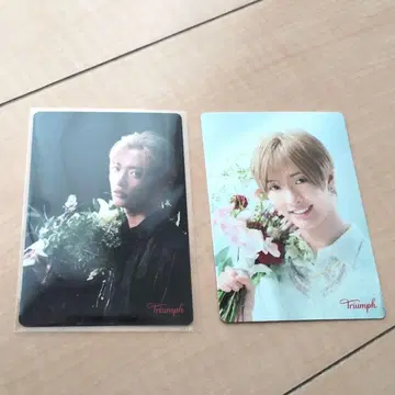 IMP. 사토 신 Triumph 트림프 오리지널 메시지 카드 2장 세트