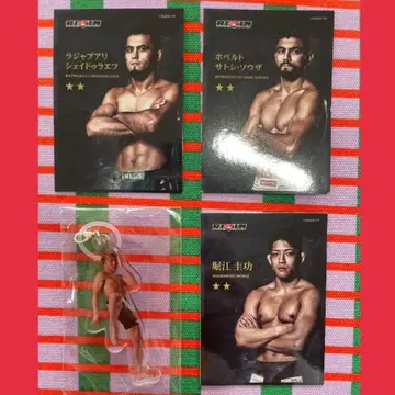 RIZIN 복권 카드 메지루시 액세서리 사토시 셰이드라에프