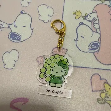 오사카 만박 해조 키티 일본관 아크릴 키링 덩굴