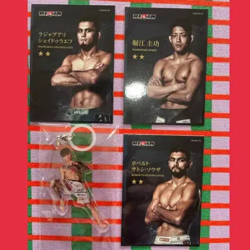 RIZIN 복권 카드 메지루시 액세서리 지우(사토시) 셰이드 라에프 이토