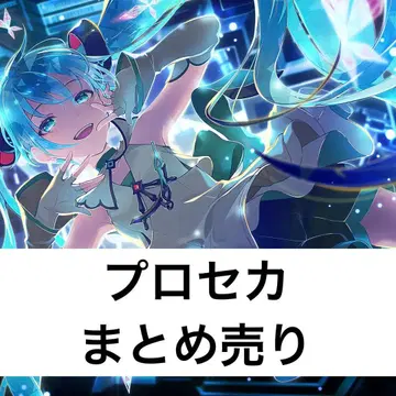 프로세카 묶음 판매
