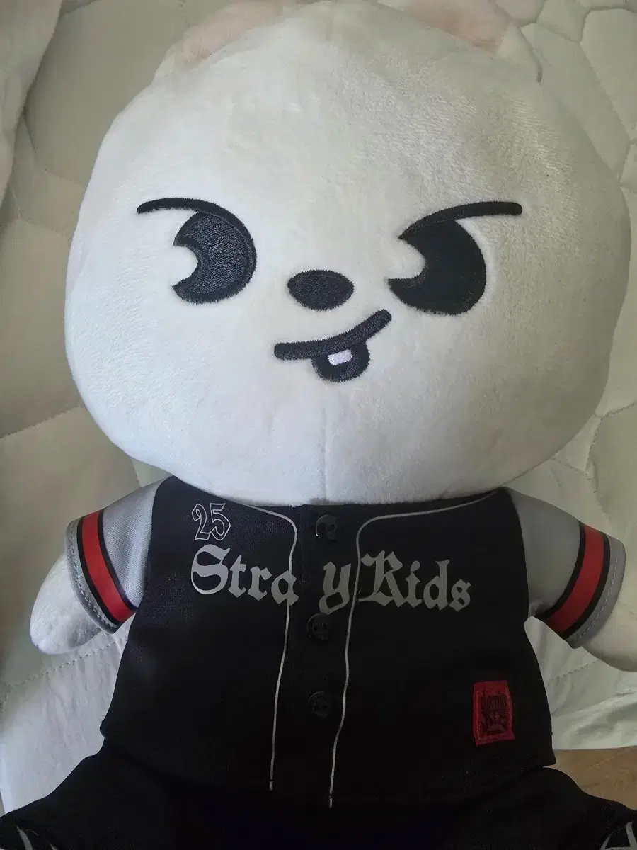 Stray Kids Lee Know Rabbit Japan Shizuoka Doll