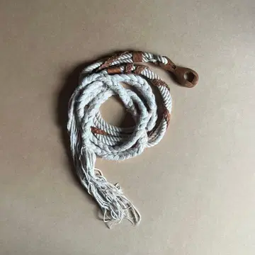 eatable 에타블 벨트