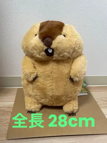 미사용 새상품 택 포함 마모트의 못토못토 봉제 인형