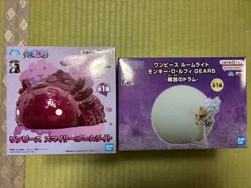 원피스 룸 라이트 2개 세트