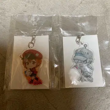 일하는 세포 적혈구 백혈구 아크릴 키링