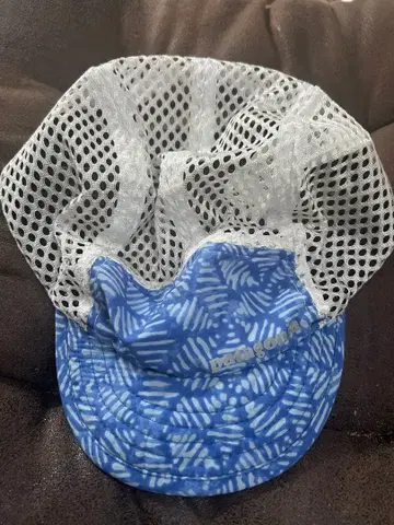 파타고니아 덕빌 캡