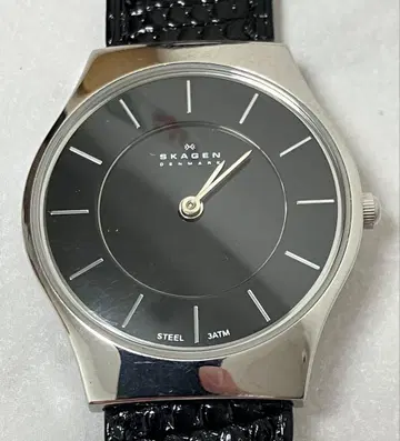 작동품 SKAGEN 스카겐 쿼츠 여성용 시계 233SSSB