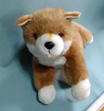 스타 차일드 시바견 봉제 인형