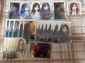 프로세카 시라이시 안