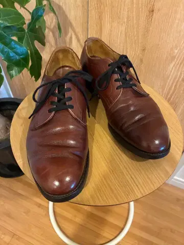 알든 1990년제 브라운