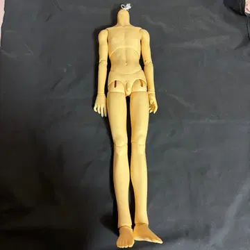 슈퍼돌피 SDGr 소년 바디 페어 스킨