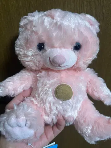 유니베어시티 피들