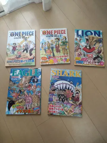 원피스 one piece color walk 화집