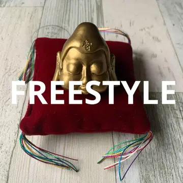 아라시 오노 사토시 FREESTYLE II 피규어