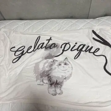 gelato pique CAT 담요