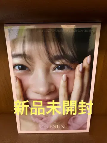 하야시 메아리 anniversary calendar photobook 2