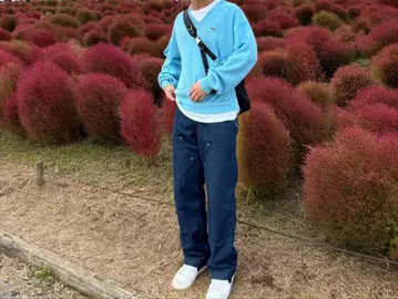 라코스테 IZOD 스카이블루 V넥 스웨터