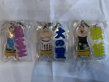 스모 메지루시 액세서리 세트