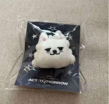 TXT 마스코트 반지 연준 수빈